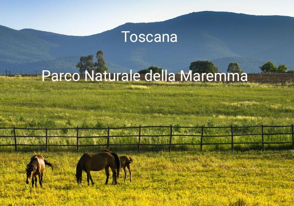 Appartamento La Libellula Grosseto Ngoại thất bức ảnh